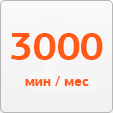 3000 исходящих минут в месяц на другие номера